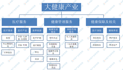 11家500强企业在广西投资大健康产业 2020年广西大健康产业布局分析(图)